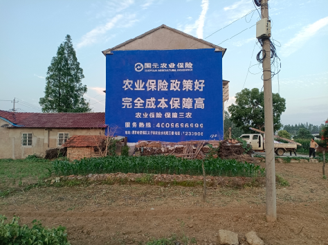 芒市墙体广告的优劣势你知道吗？